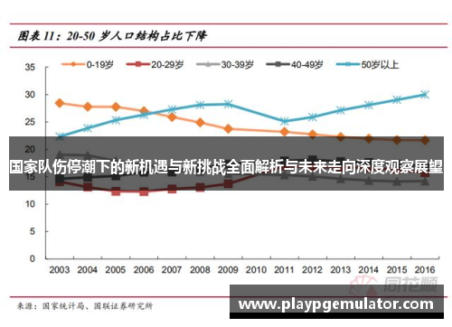 国家队伤停潮下的新机遇与新挑战全面解析与未来走向深度观察展望 国家队伤停潮下的新机遇与新挑战全面解析与未来走向深度观察展望