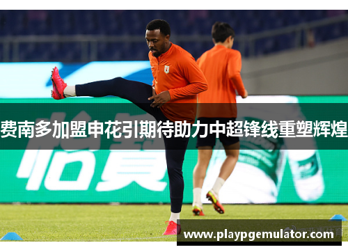费南多加盟申花引期待助力中超锋线重塑辉煌 费南多加盟申花引期待助力中超锋线重塑辉煌