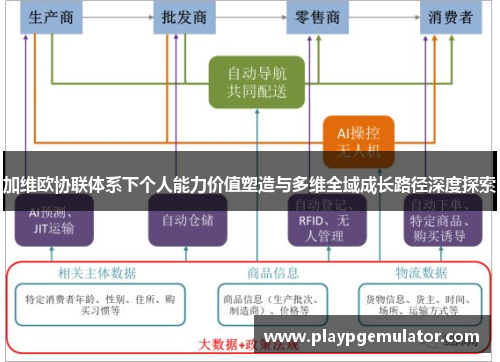 加维欧协联体系下个人能力价值塑造与多维全域成长路径深度探索 加维欧协联体系下个人能力价值塑造与多维全域成长路径深度探索